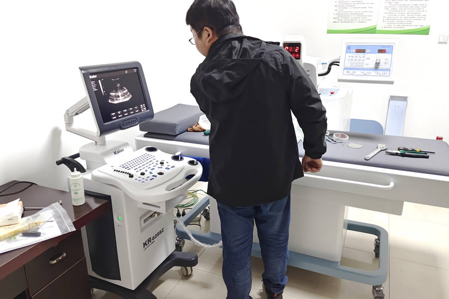 寵物b超臨床檢查前需要做哪些準備方便做